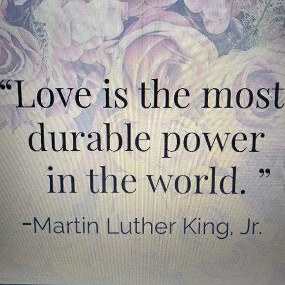 Meet your Posher, Kiki - Picture 5 of 8